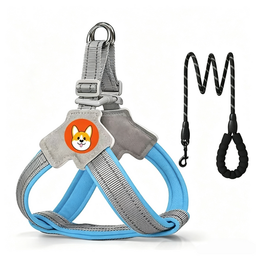 Reflective Dog Harness and Leash Set