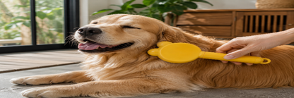 Yellow Bunny Pet Grooming Brush Set